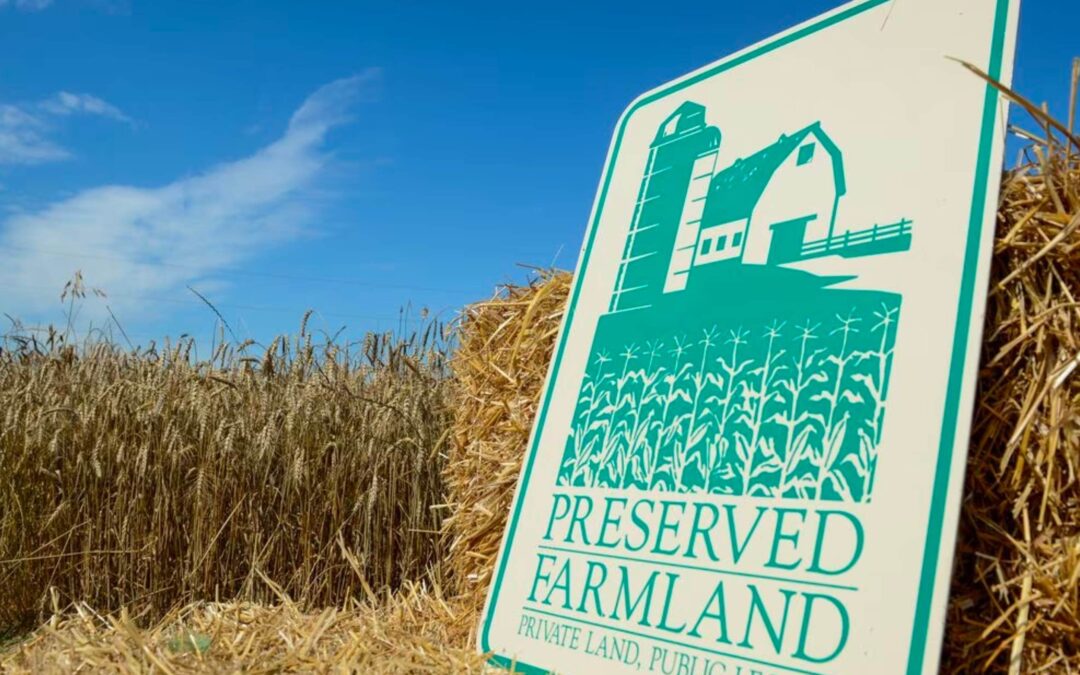 10 Important Issues to Address Before Preserving Your Farm In New Jersey